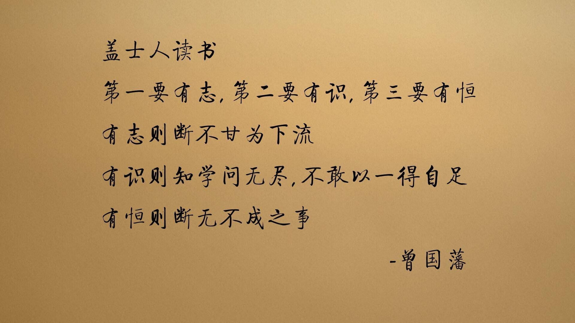 德甲赛季门票定价策略与球迷出勤率研究，德甲球票价格