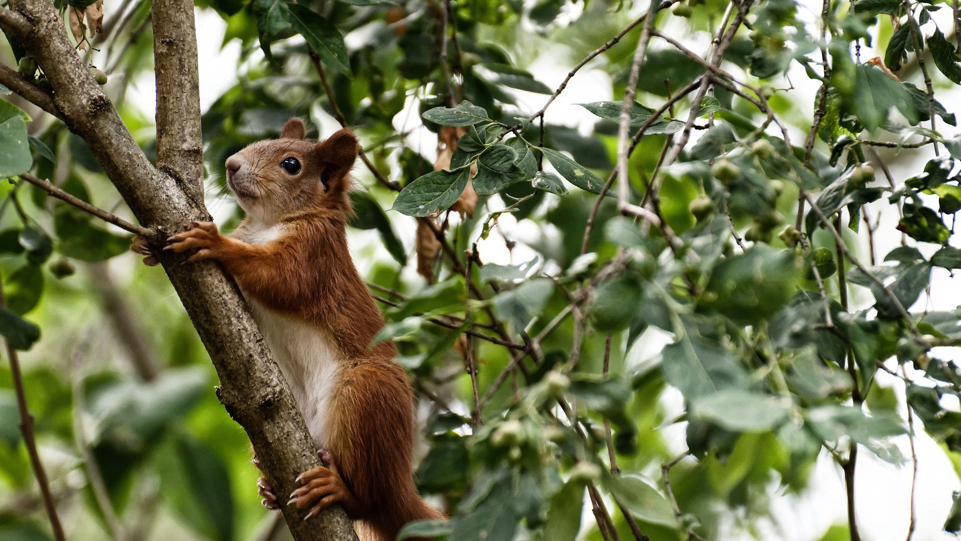 开云娱乐官网-该项目选手换气节奏调整成效显著