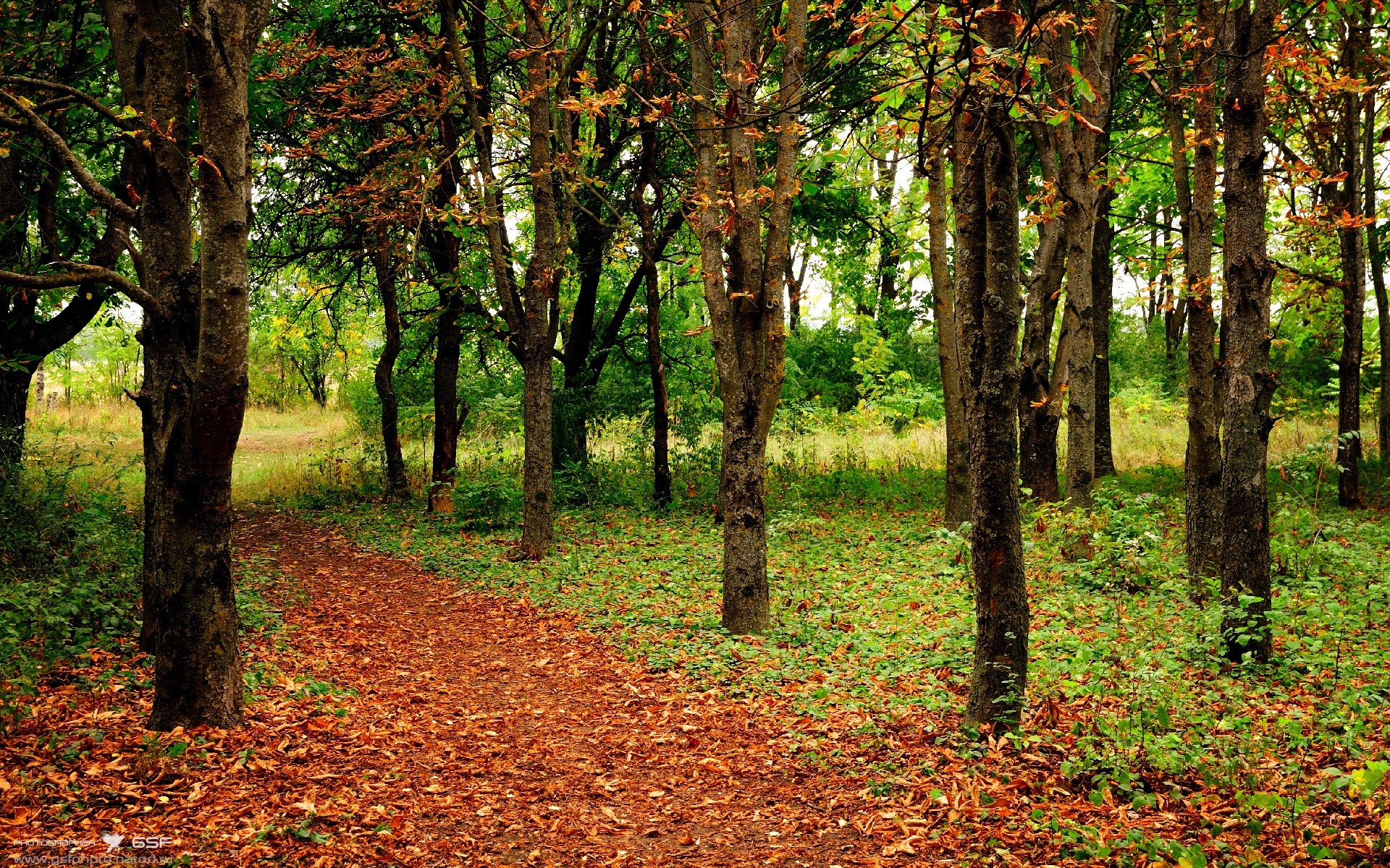 kaiyun网站-世界杯精彩集锦：瞬间、精彩、奇迹不断！，世界杯的精彩瞬间