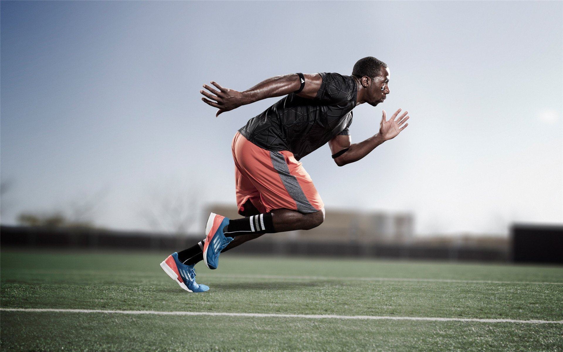 《FIFA》电竞直播平台粉丝数突破历史新高,fifa电竞比分