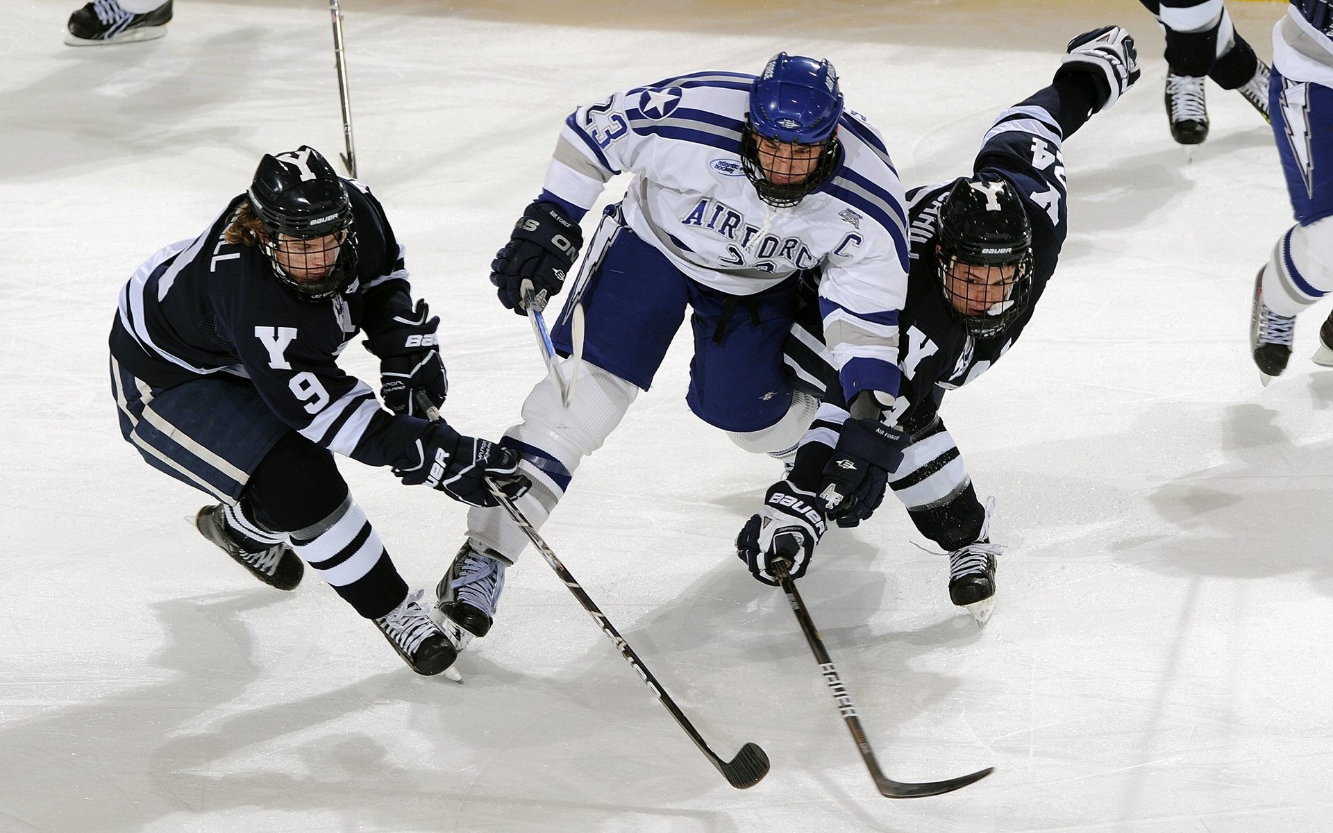 《FIFA》电竞直播平台粉丝数突破历史新高,fifa电竞比分
